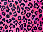 After Hours – Neon Leopard Glass Chopping Board